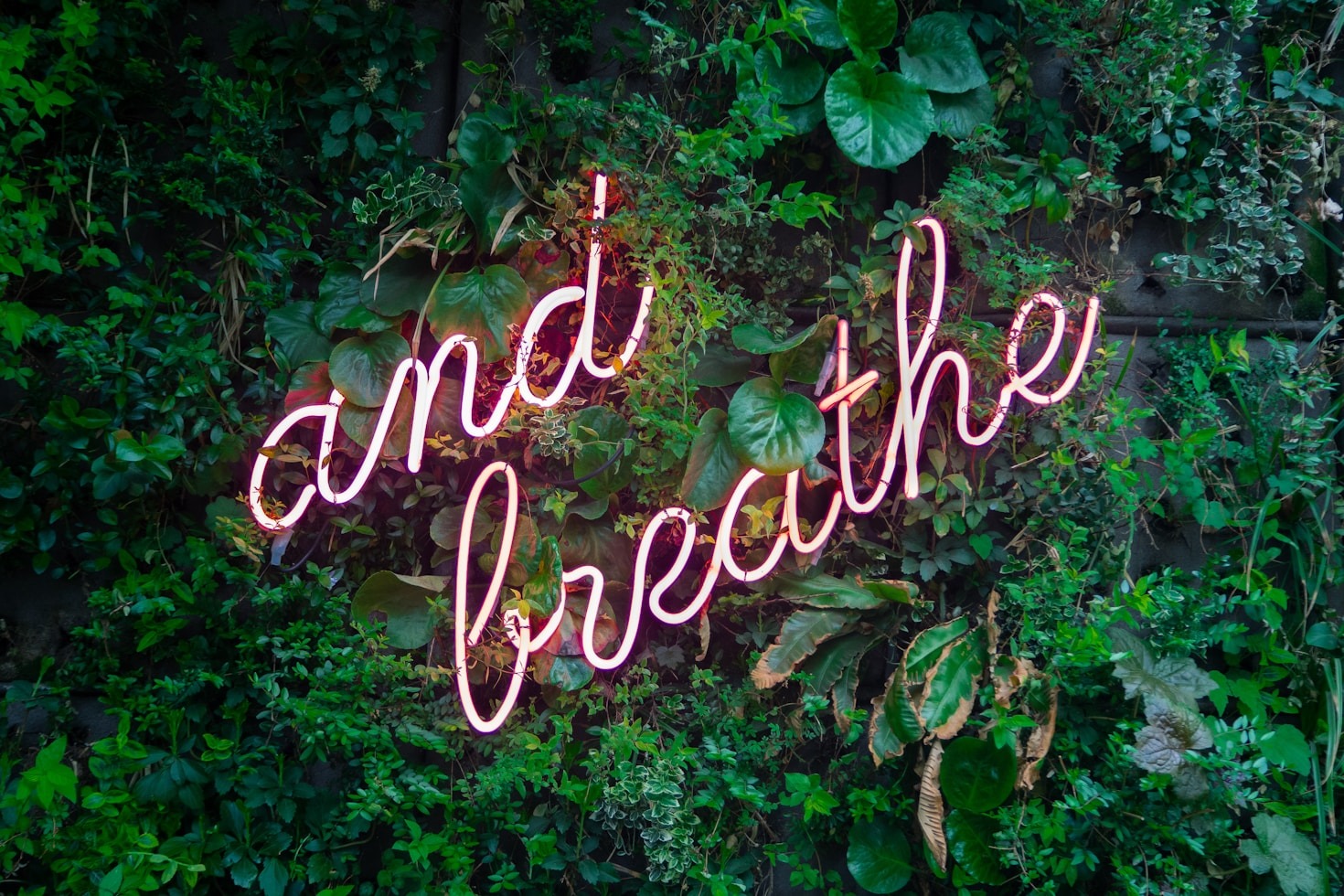 Aprendendo a confiar no seu próprio processo